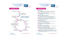 MST_analytisch_proces_en_behandelprincipes