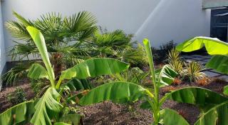 stadstuin Korte Sint Annastraat 5